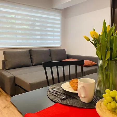 Apartmán Rzeszowska 5 02 *